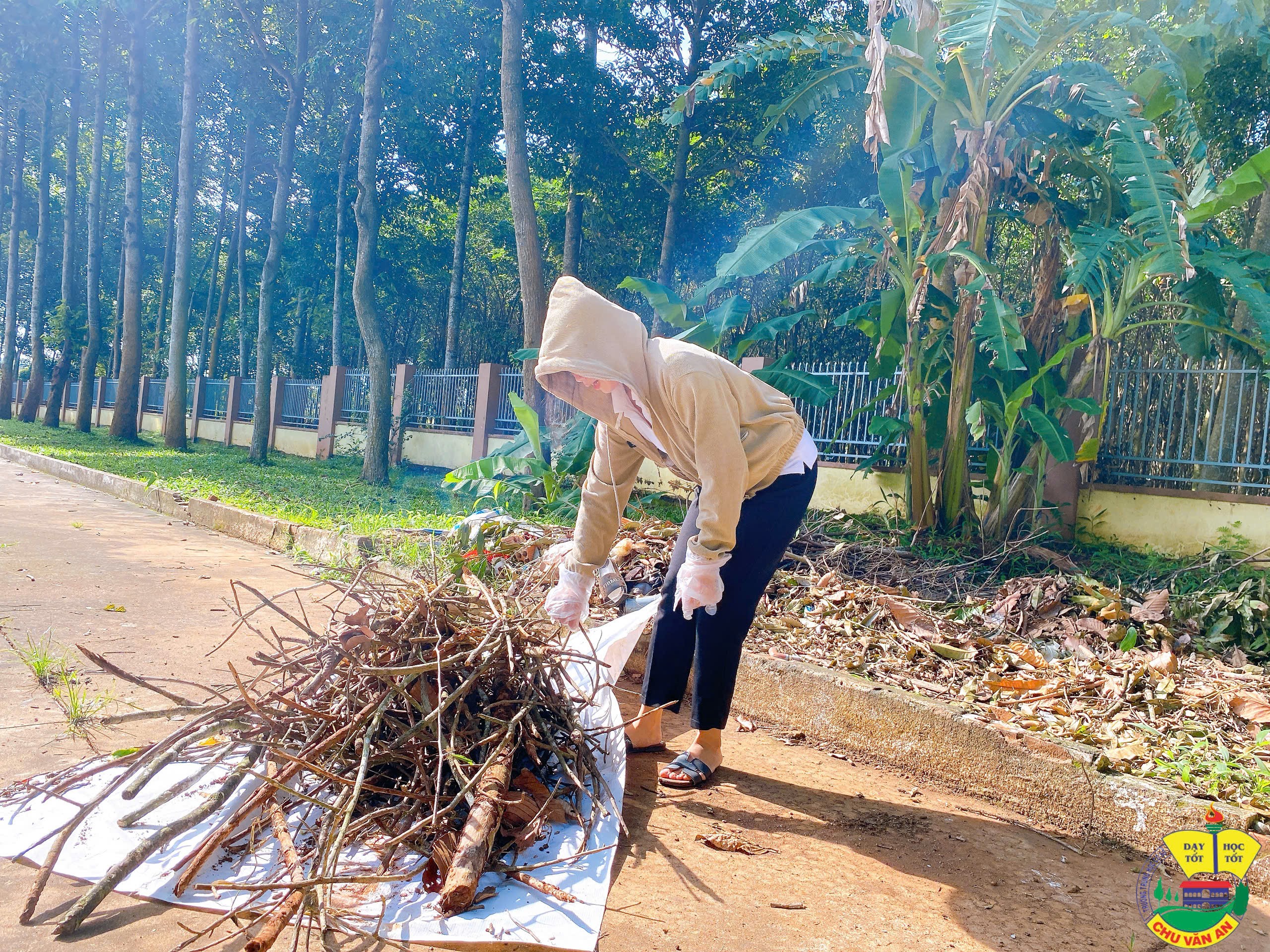 z6878176014876 476e060cd2b04ed67f0be696e684b8fe